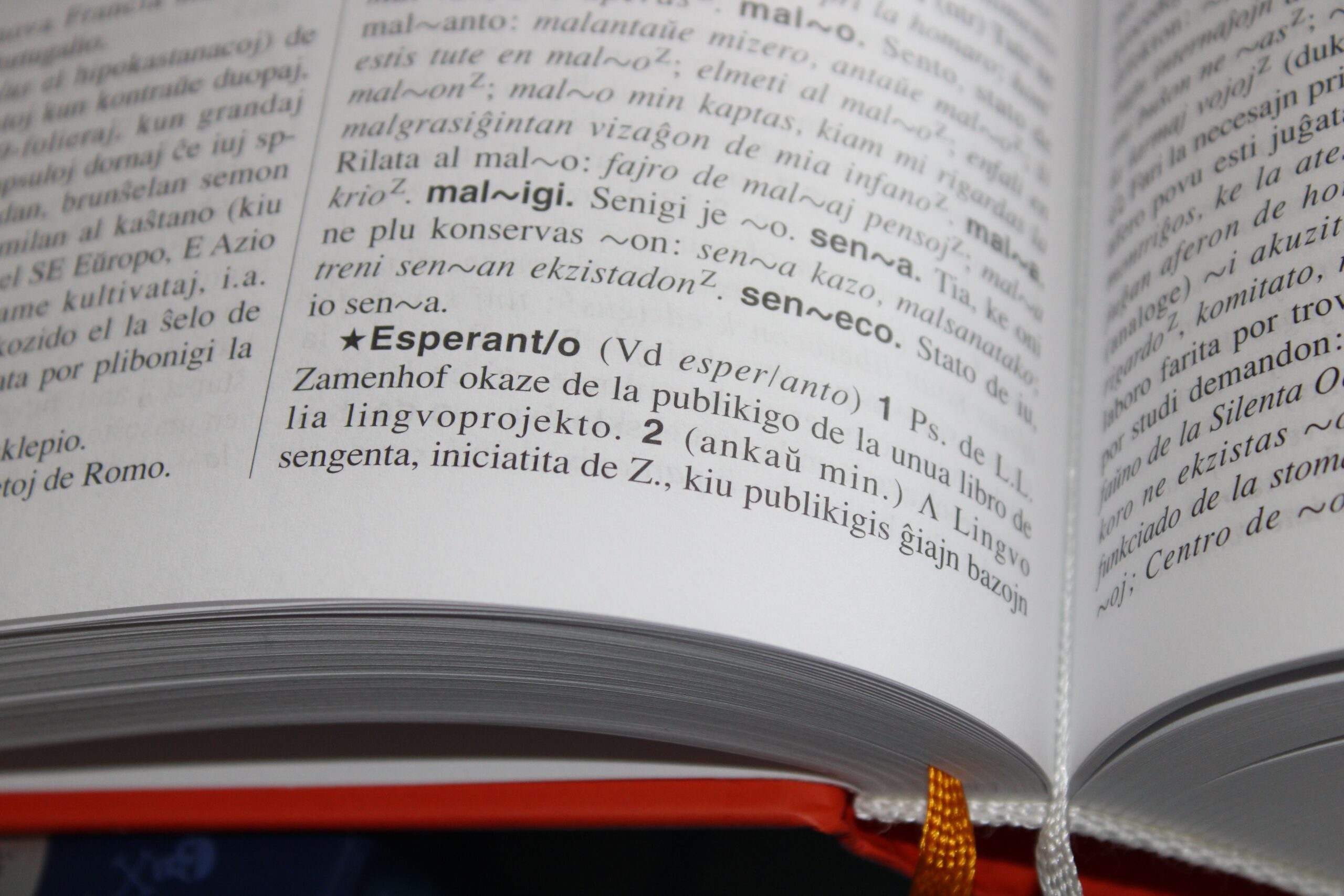 Credit: Pexels License, via Pexels A close-up page from a dictionary, illustrating language translation and multilingual communication